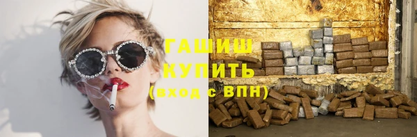хмурый Белокуриха