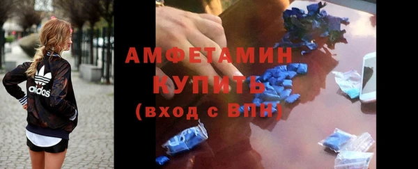 хмурый Белокуриха