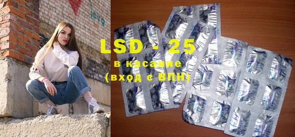 хмурый Белокуриха