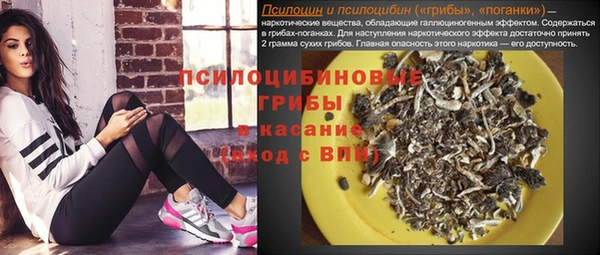 бутират Богородицк