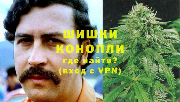 хмурый Белокуриха