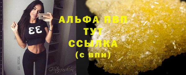 мяу мяу кристалл Богданович