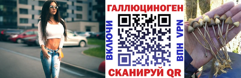 купить закладку  Буйнакск  Галлюциногенные грибы ЛСД 